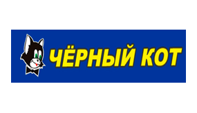 Черный кот