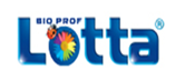  Lotta